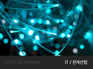 IT/ELECTRONIC IT/전자산업